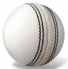 Autograph Cricket Ball