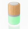 Baldwin ABS and Bamboo Speaker