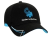 Circuit Cap