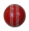 Cricket Balls Polysoft