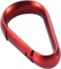 Everest carabiner