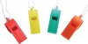 Fluro Whistle