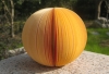 Fruit Shape Notepad-Orange