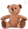 Honey Plush Teddy Bear