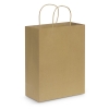 Large Paper Carry Bag