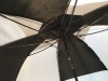Large Umbrella