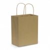 Medium Sized Paper Carry Bag