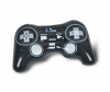 Playstation Controller Inflatable