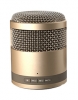 Portable Bluetooth Speaker