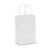 Small Paper Carry Bag