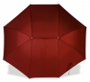 Umbrella for 2