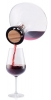 Wine Decanter